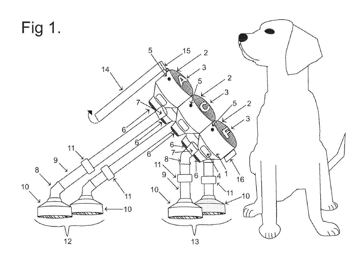 Functional communication lexigram device and training method for animal and human