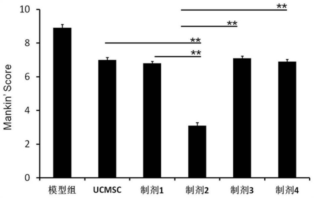 Application of umbilical cord stem cell preparation in preparation of medicine for treating osteoarthritis