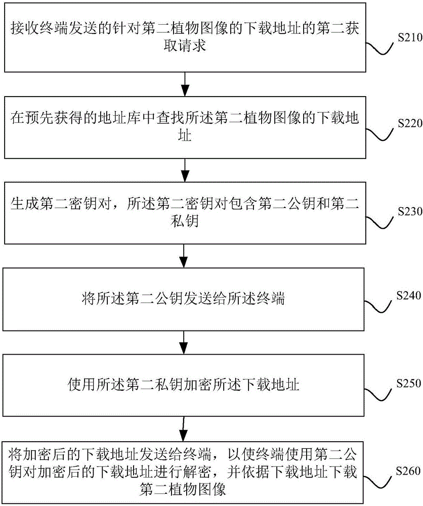 Plant image transmission method and device based on planting box