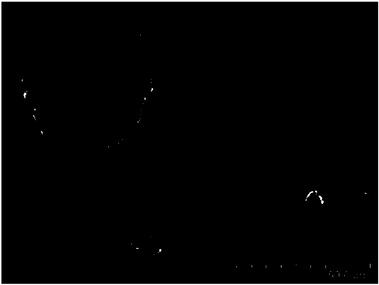 A kind of physical dispersion method of carbon nanotubes