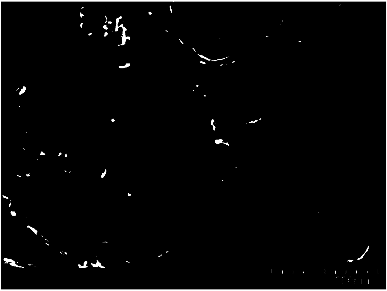 A kind of physical dispersion method of carbon nanotubes