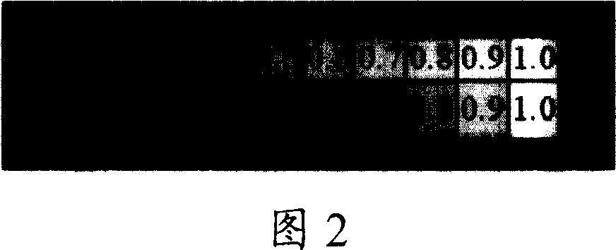 Method and apparatus for correcting video-flow gamma characteristics of video telecommunication terminal