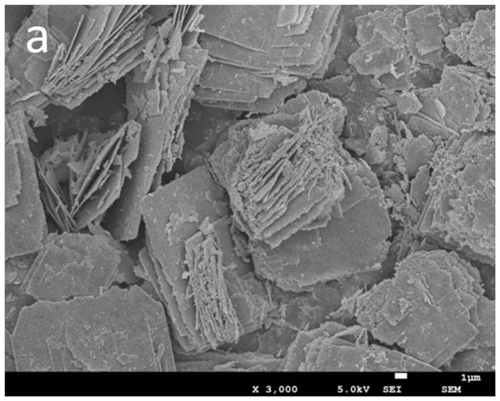 A porous nano nife  <sub>2</sub> o  <sub>4</sub> And its preparation method and application