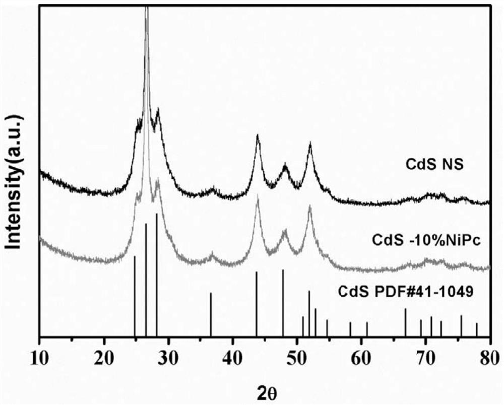 CdS/NiPc photocatalyst capable of being used for photolysis of water and preparation method of CdS/NiPc photocatalyst