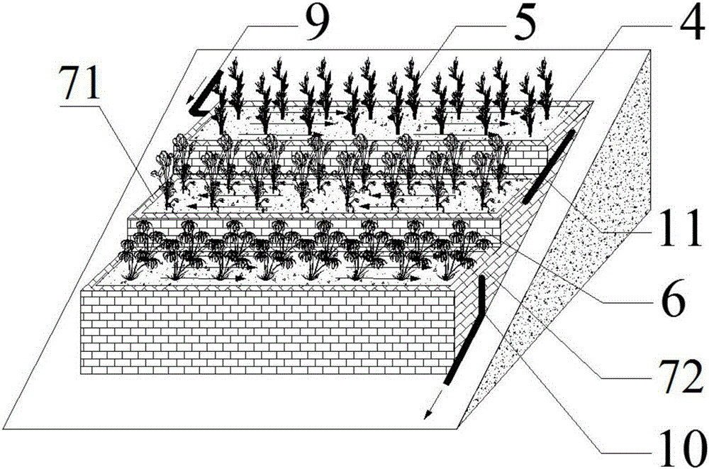 Stepped horizontal subsurface flow constructed wetland combined system and application thereof