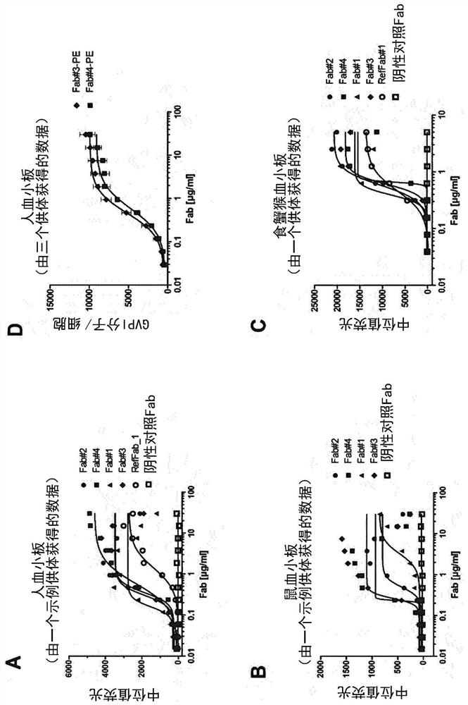 Antibodies targeting glycoprotein vi