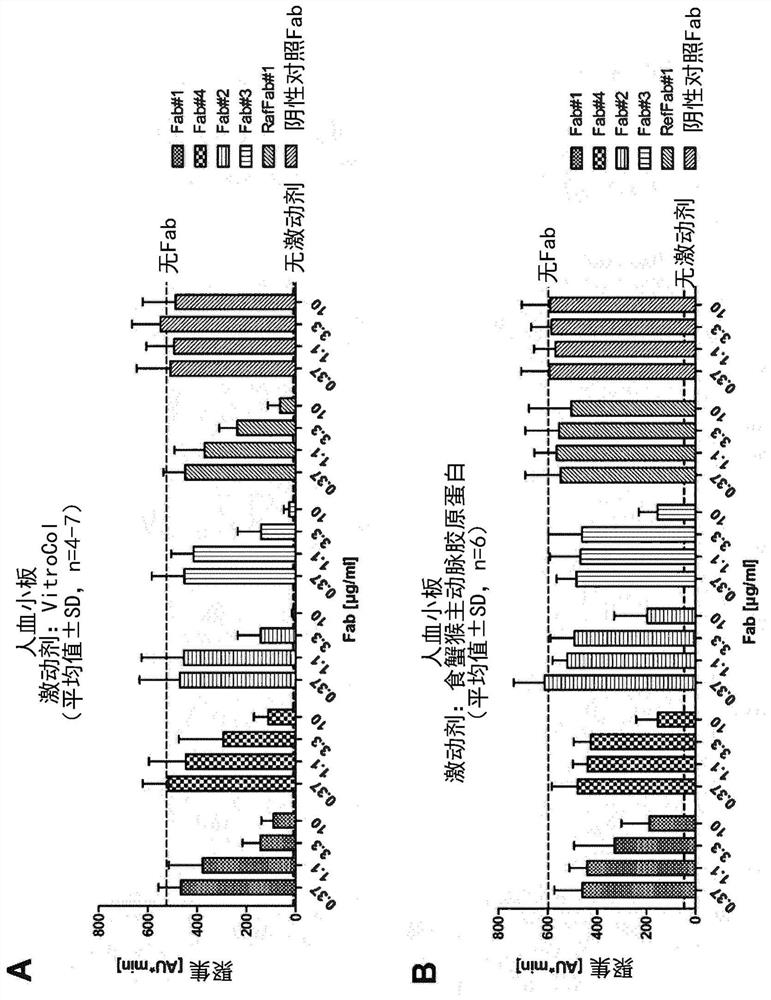 Antibodies targeting glycoprotein vi