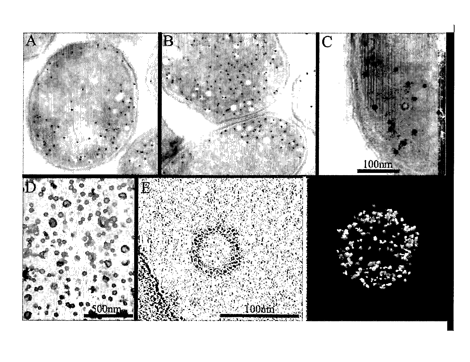 Molecular delivery vehicle