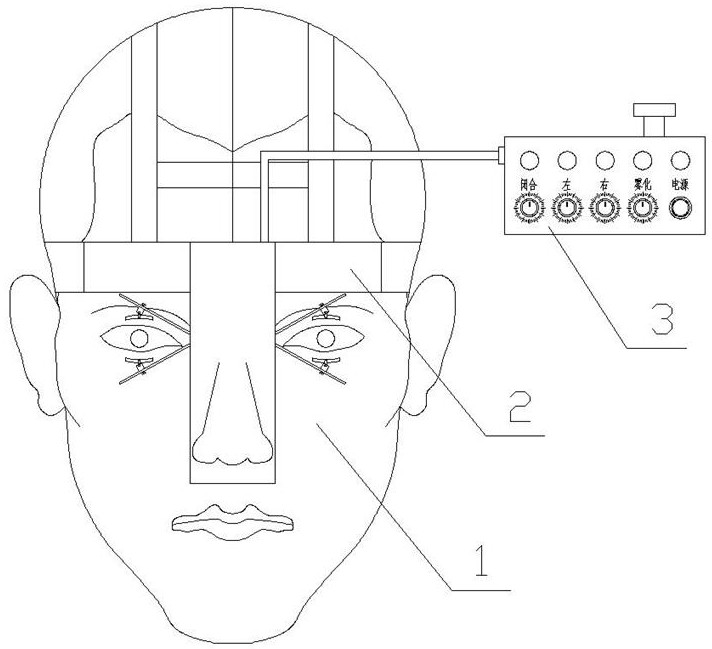 Head-mounted electric eyelid opener