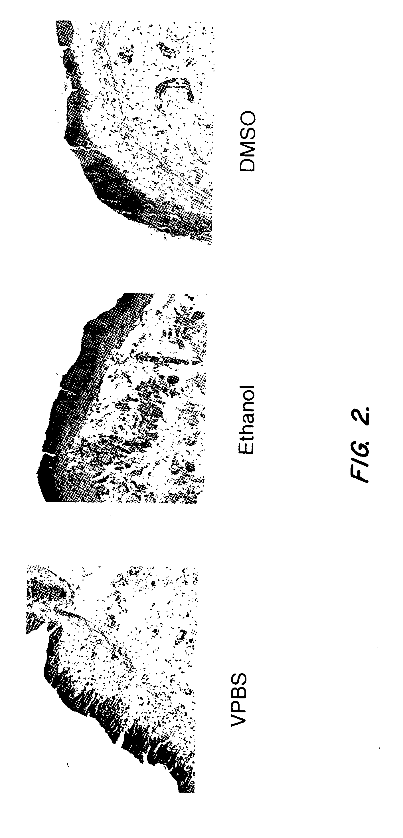 Compositions and methods for therapeutic use