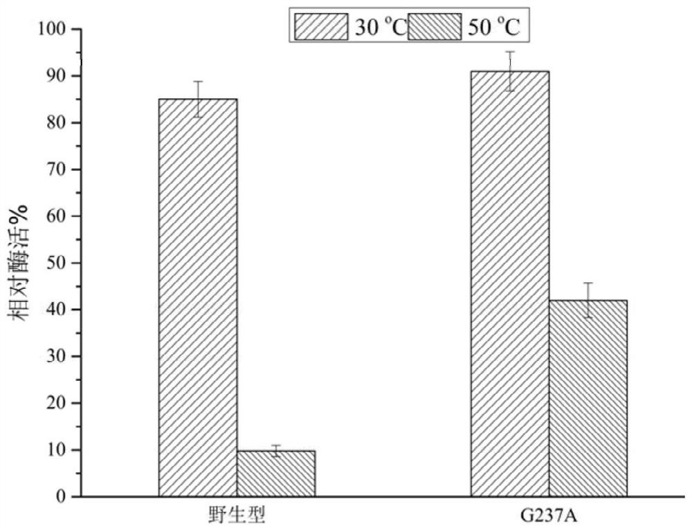 Mutant chitosanase with high temperature stability