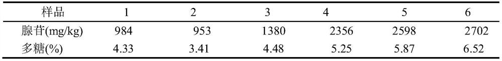 A preparation method of the active substance of Paecilomyces hematalis for reducing uric acid or treating hyperuricemia and the active substance prepared by the method and its application