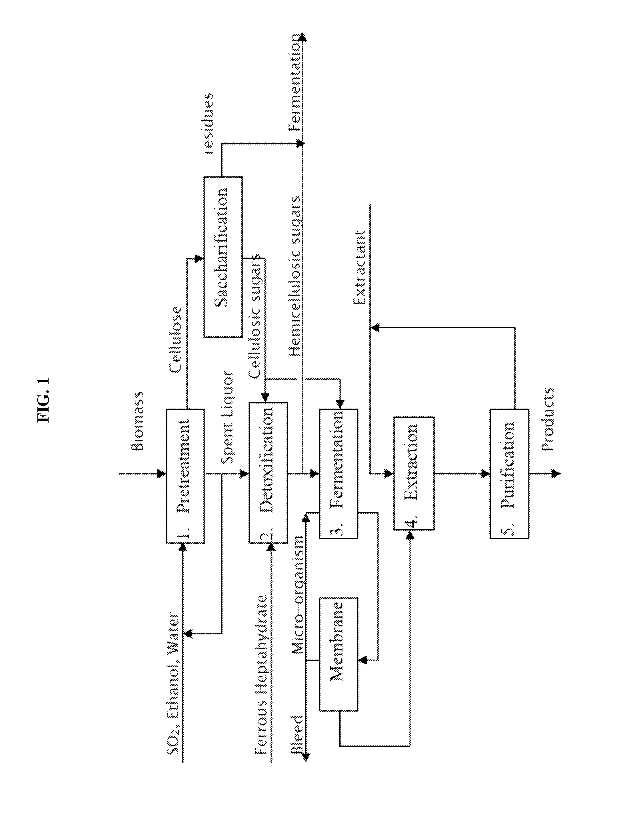 Processes for fermentation of lignocellulosic glucose to aliphatic alcohols or acids