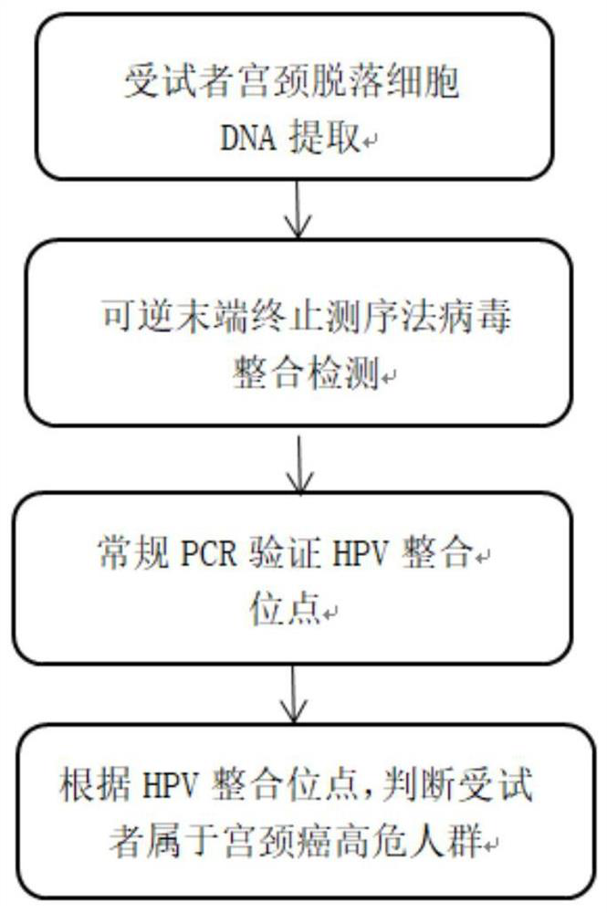 Application of integrated high-frequency gene loci of high and medium risk type HPV related to cervical cancer generation