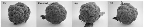 Method for delaying aging and yellowing of broccoli