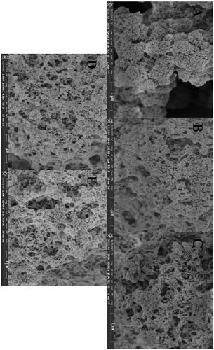 Nucleic acid aptamer functional extraction material for adsorbing phthalate and preparation method and application thereof