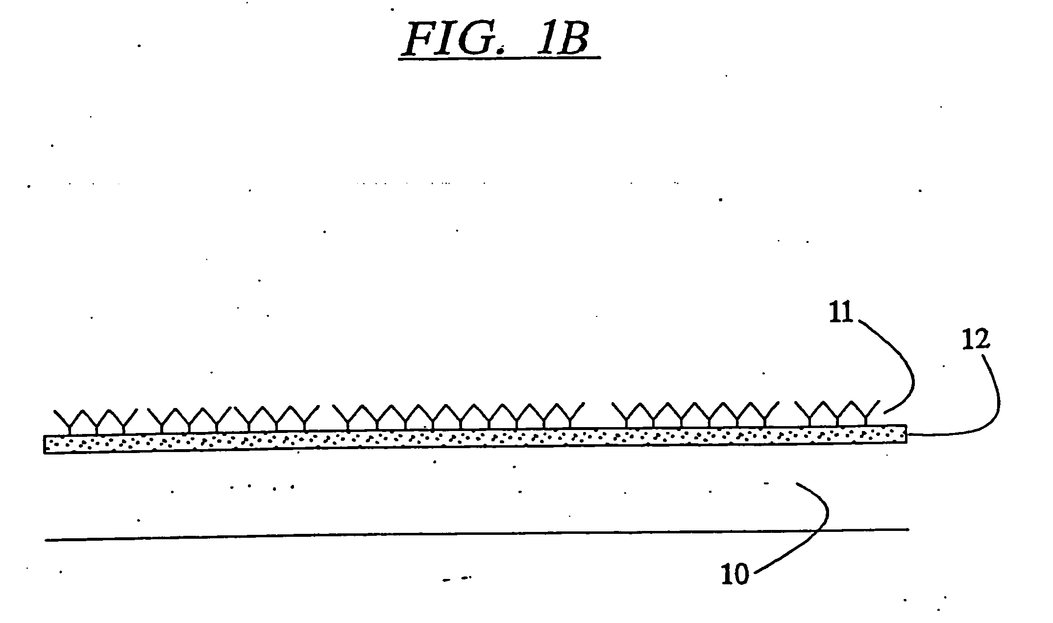 Affinity based system for detecting particulates in a fluid