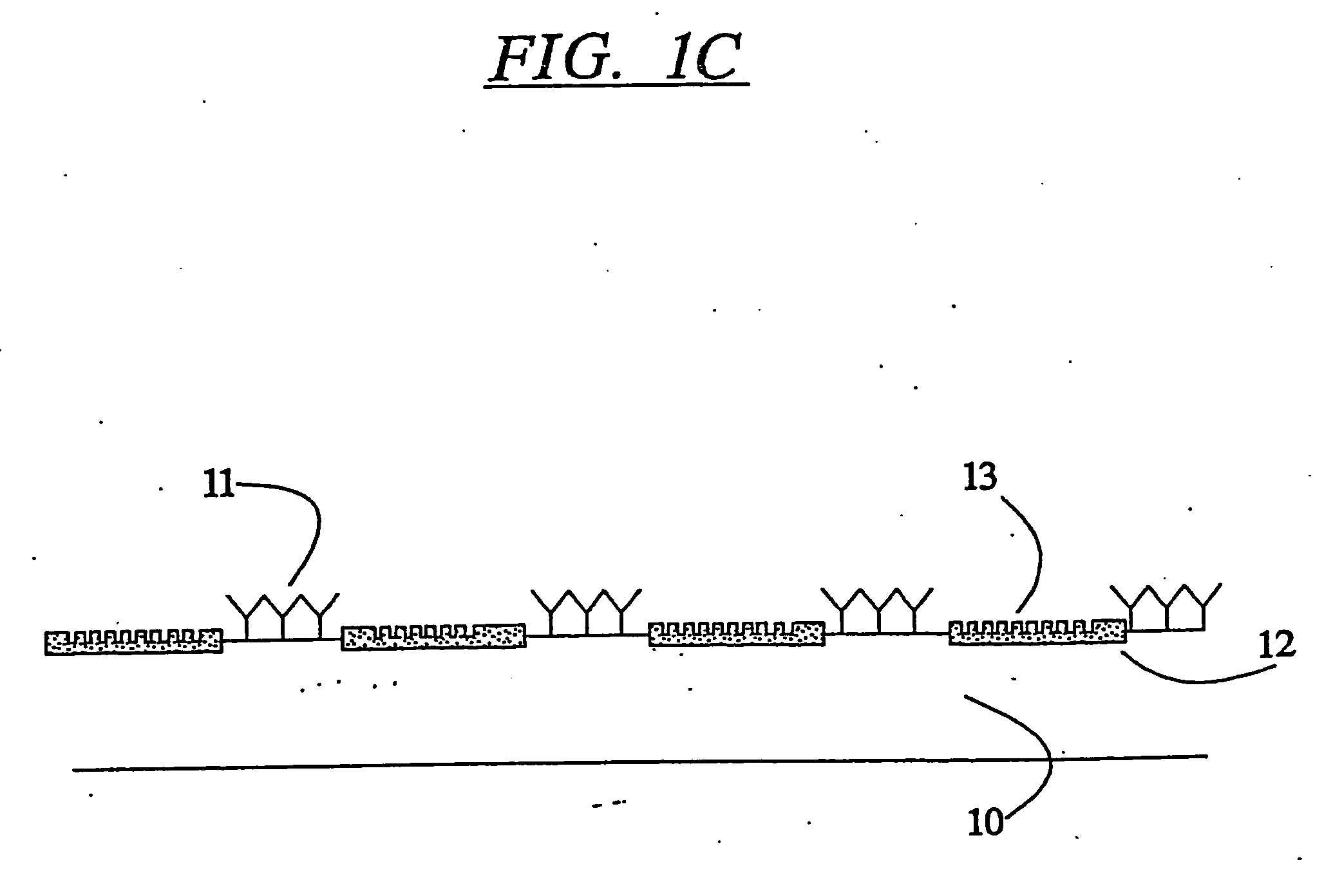 Affinity based system for detecting particulates in a fluid