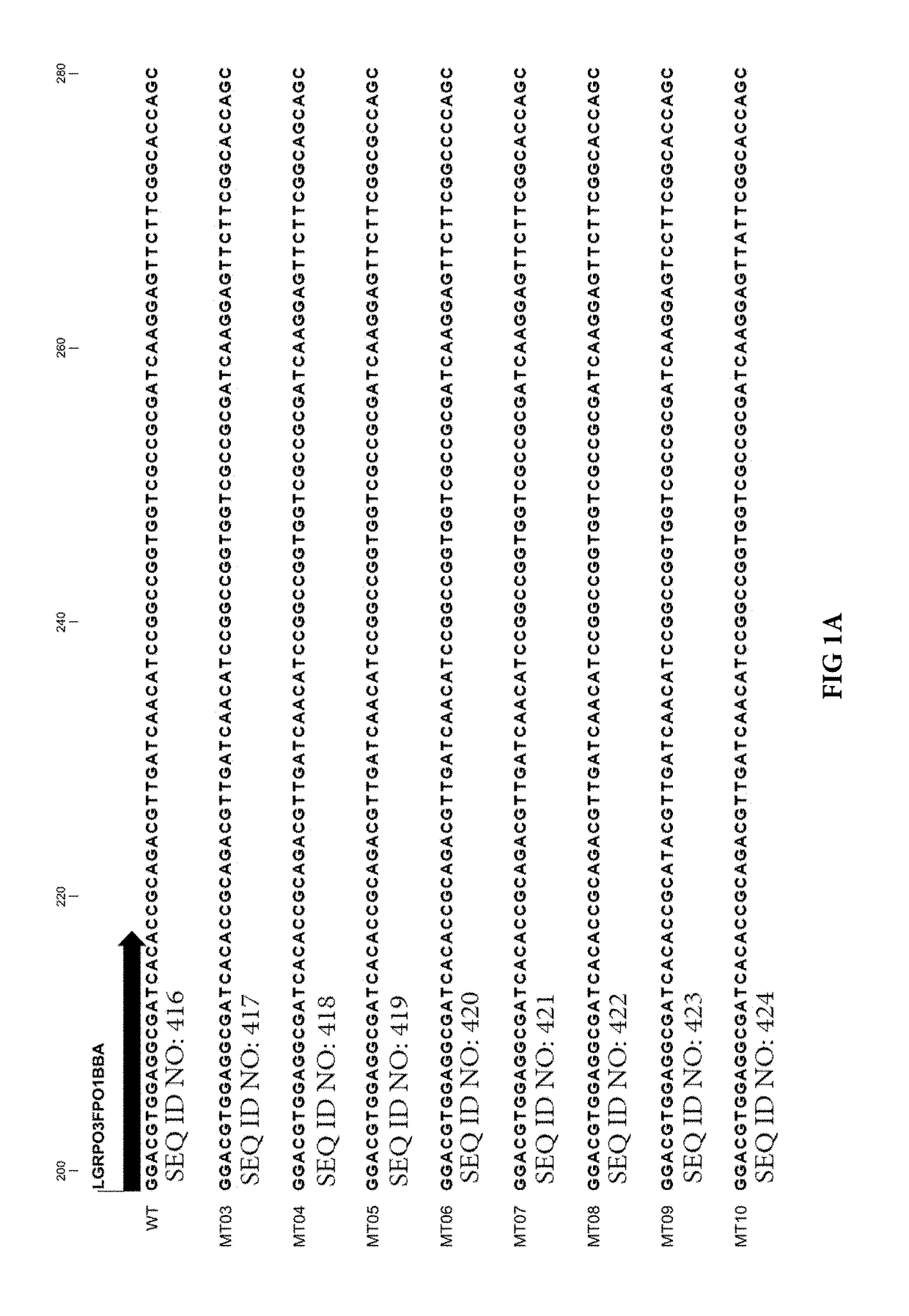 Compositions and methods for detection of drug resistant mycobacterium tuberculosis