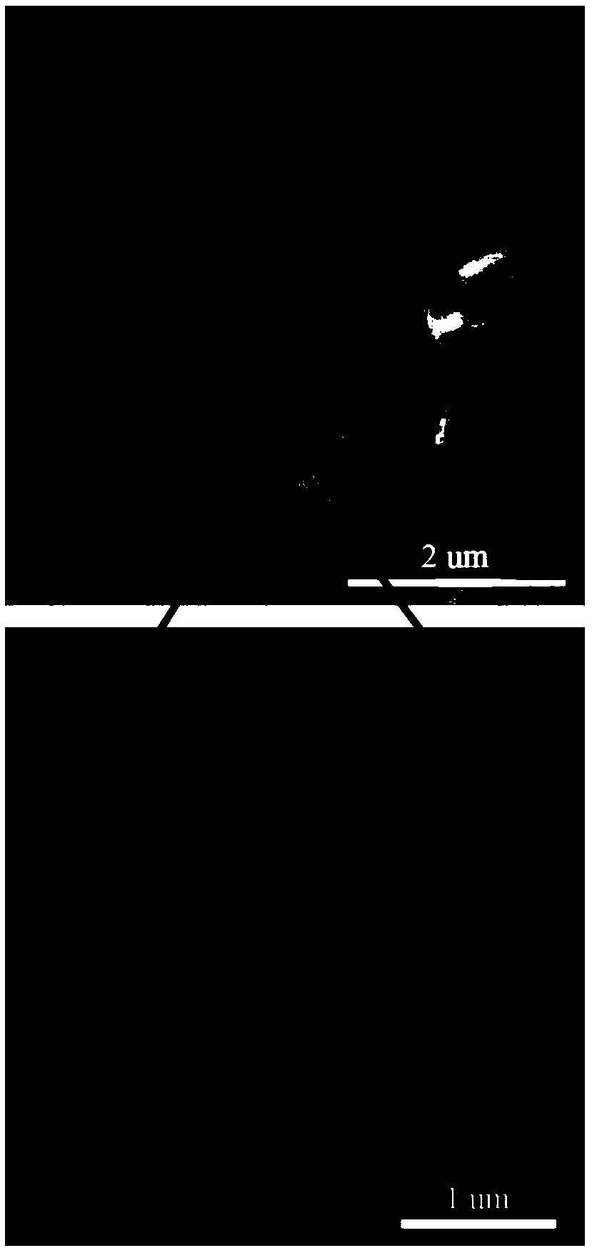 Spherical electrocatalytic material and preparation method thereof