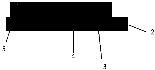 A Dual Polarization CTS Beam Scanning Antenna Array