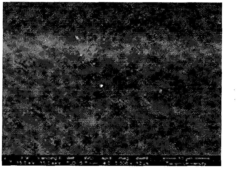Asymmetrical polyvinyl chloride dry-wet reversible ultrafiltration/microfiltration membrane, preparation method and application thereof