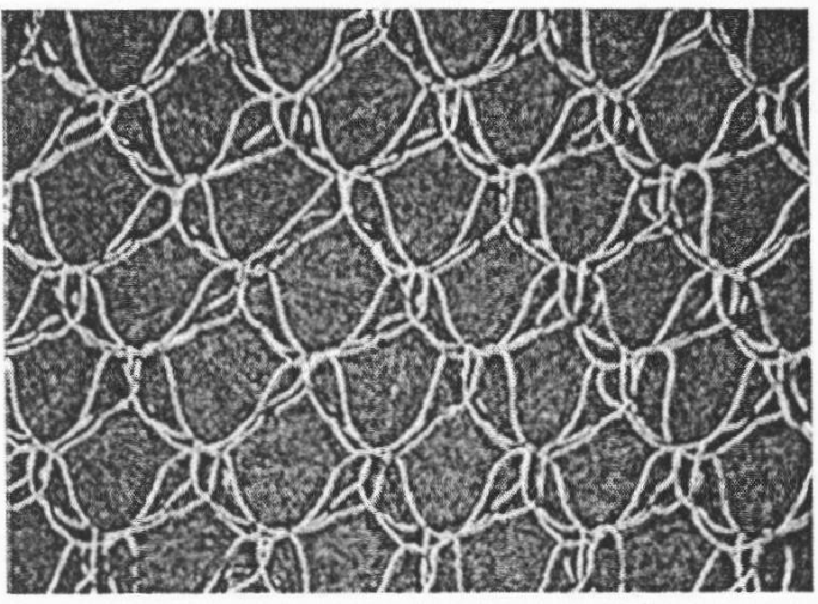 Method for manufacturing satellite antenna metal mesh