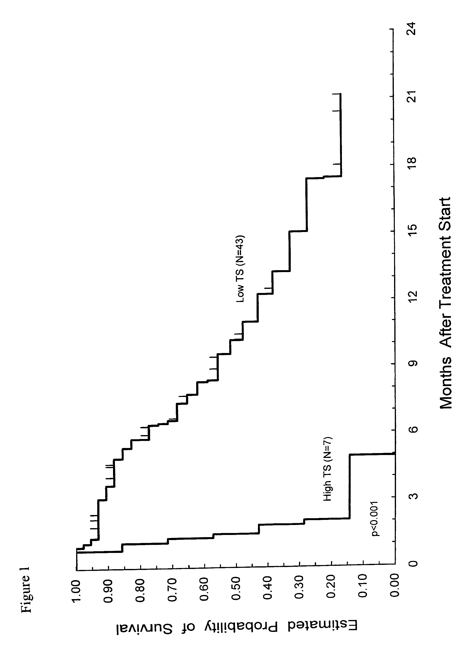 Method of determining a chemotherapeutic regimen based on ERCC1 and TS expression