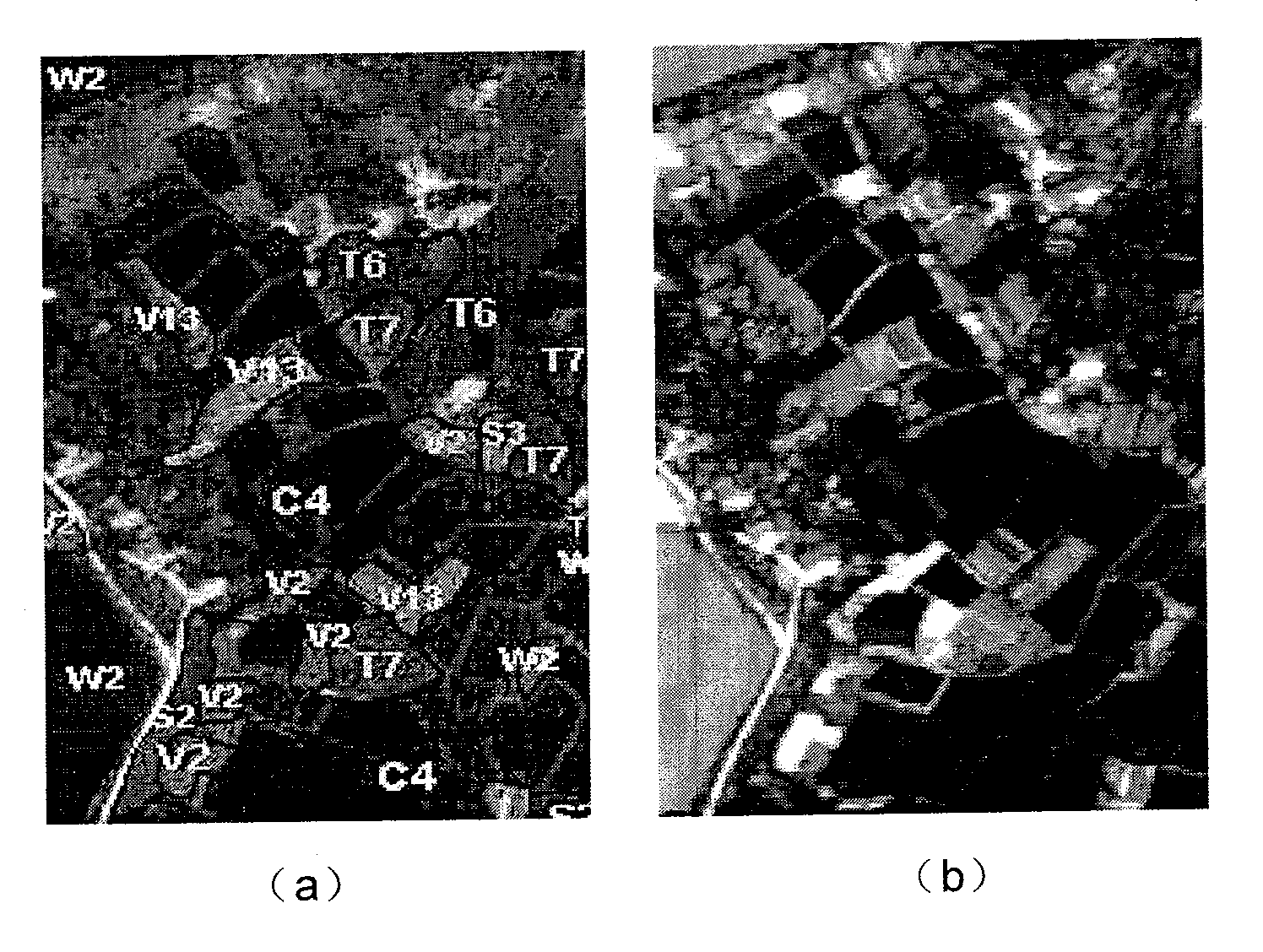 Light spectrum and spatial information bonded high spectroscopic data classification method