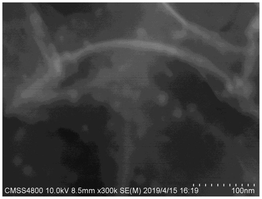 Preparation method of nano-cobalt-supported nitrogen-doped three-dimensional porous carbon and its application in lithium-sulfur batteries