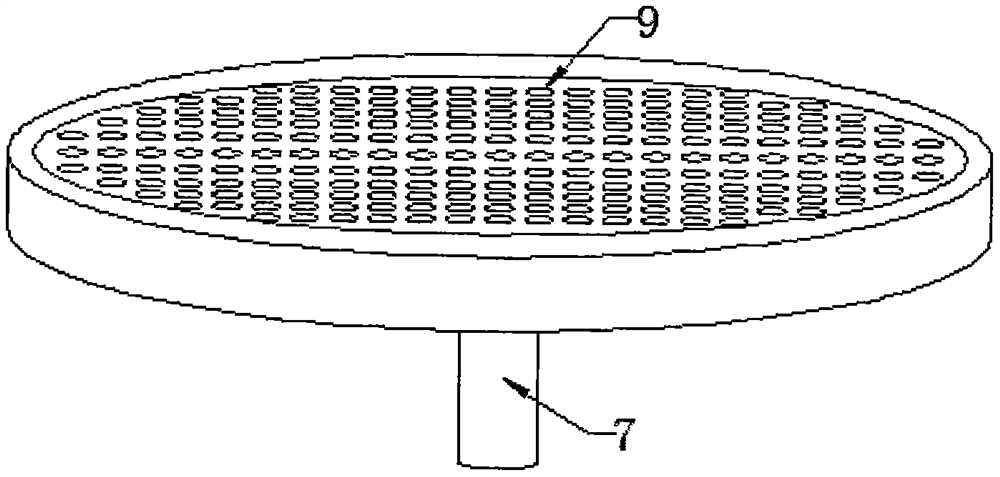 Special aerial seeding device for oilseed rapes