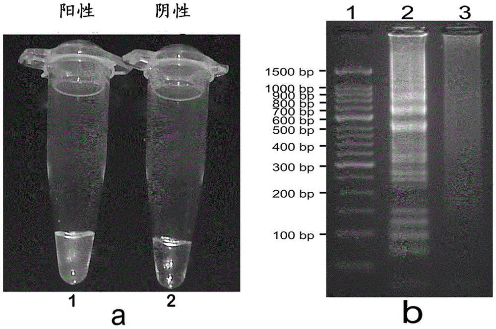 A set of nucleotide sequences and its application in the identification of Listeria monocytogenes