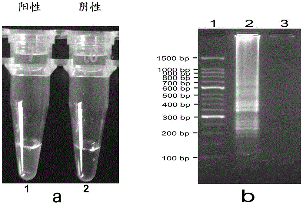 A set of nucleotide sequences and its application in the identification of Listeria monocytogenes