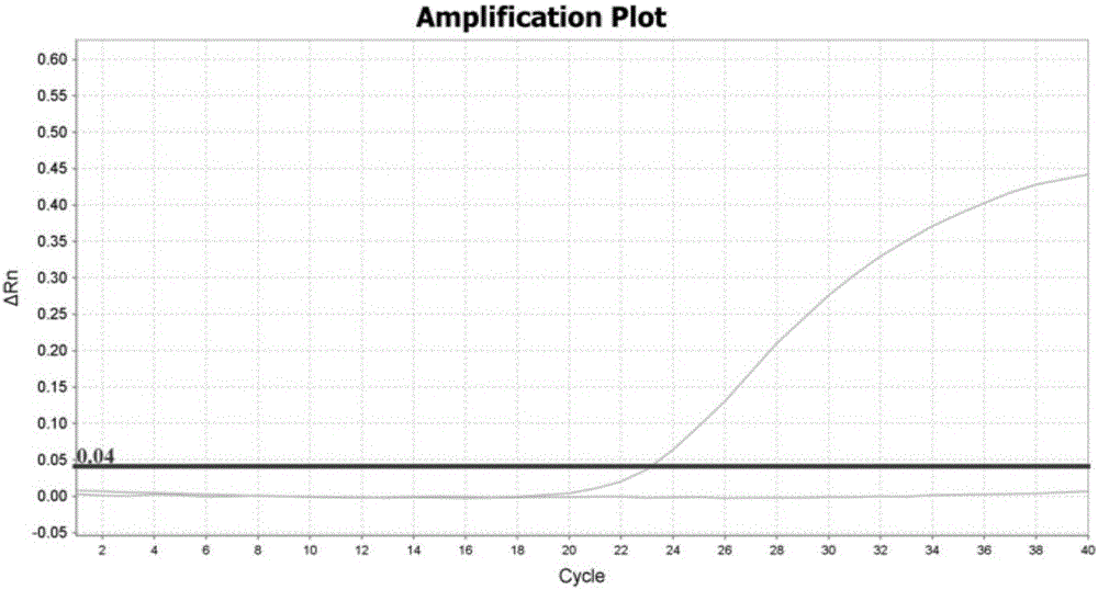 Kit for simultaneously detecting multisite mutation of genes CYP2C19 and CYP2D6