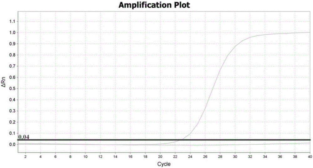 Kit for simultaneously detecting multisite mutation of genes CYP2C19 and CYP2D6