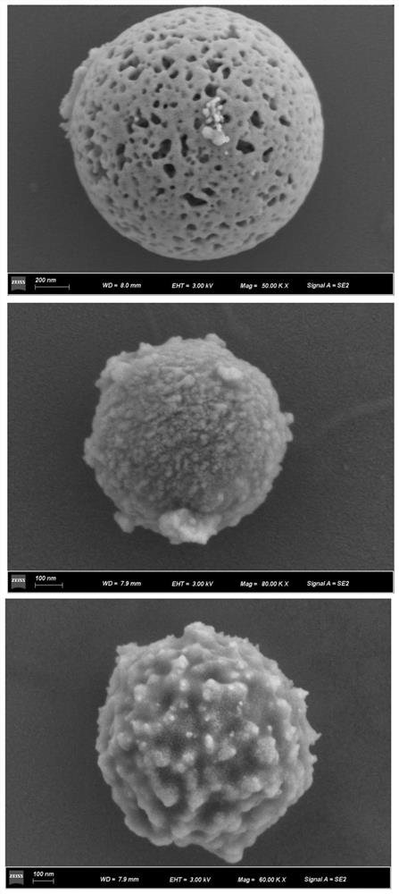 A kind of nanocomposite material and its preparation method and application