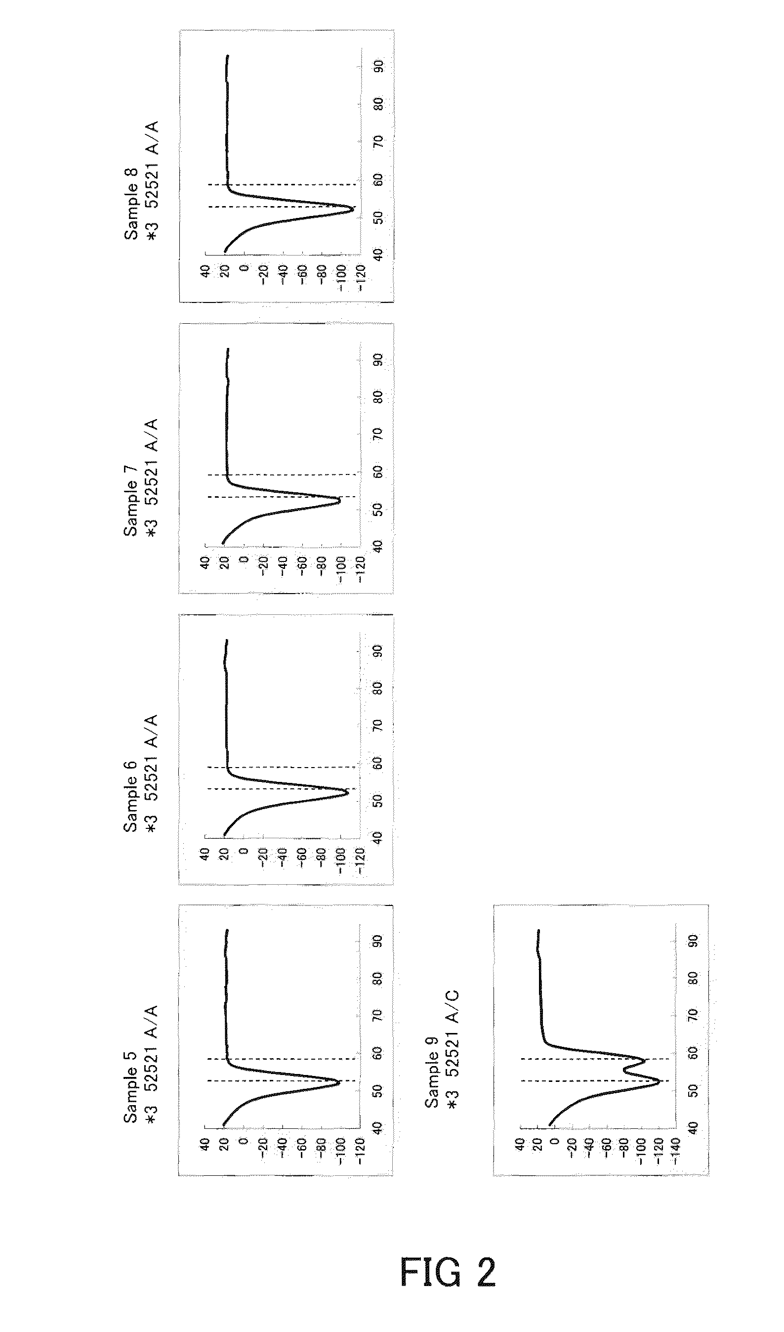 Primer set for amplifying cyp2c9 gene, reagent for amplifying cyp2c9 gene containing the same, and the uses thereof