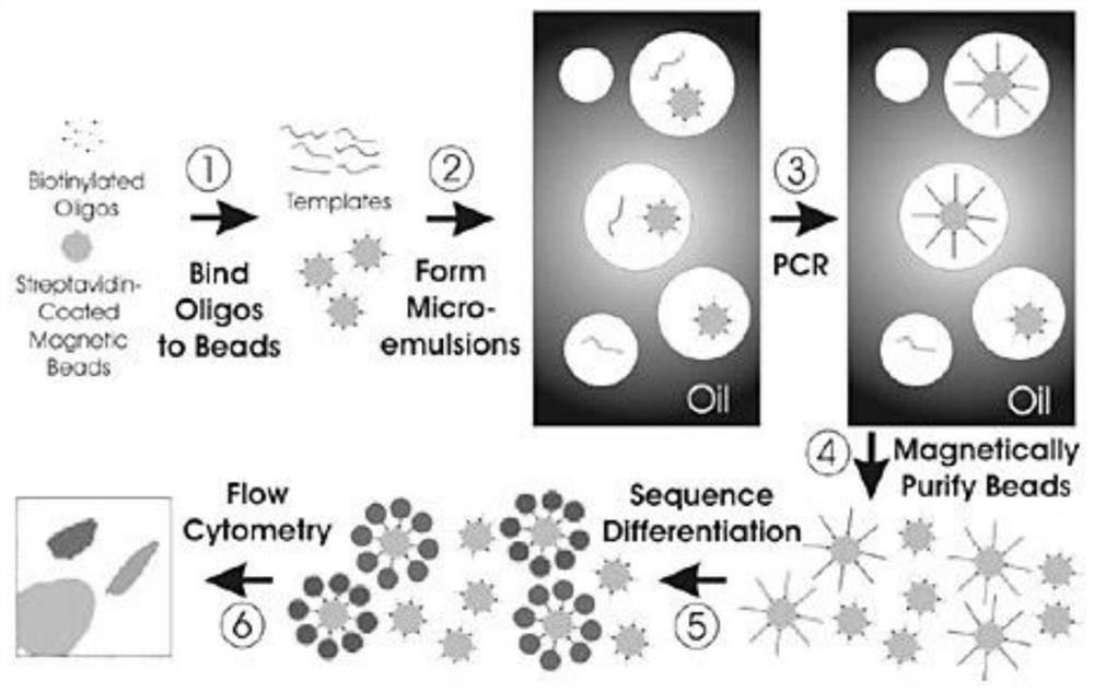 A rapid method for detecting the damage intensity of DNA fragmentation caused by plasma in vitro