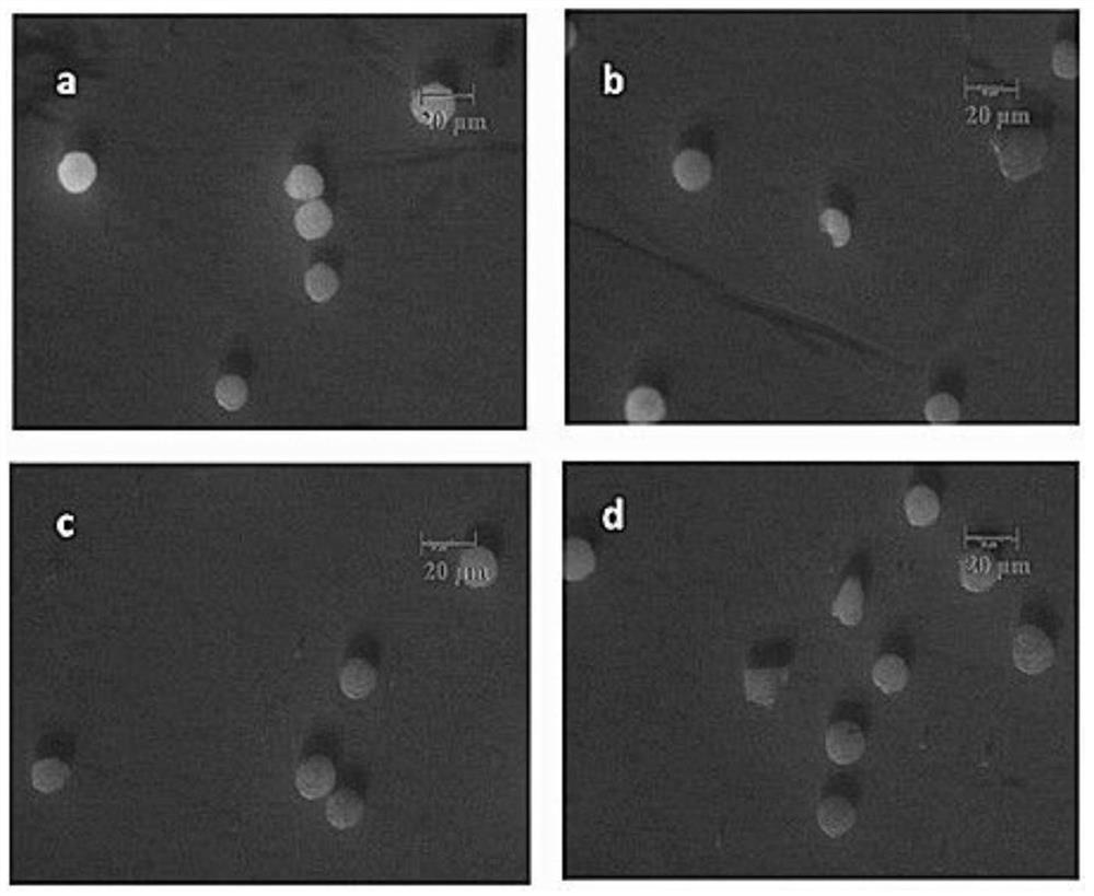 A rapid method for detecting the damage intensity of DNA fragmentation caused by plasma in vitro