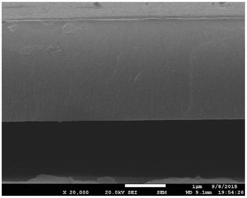 Highly c-axis oriented aluminum nitride film and its preparation method and application