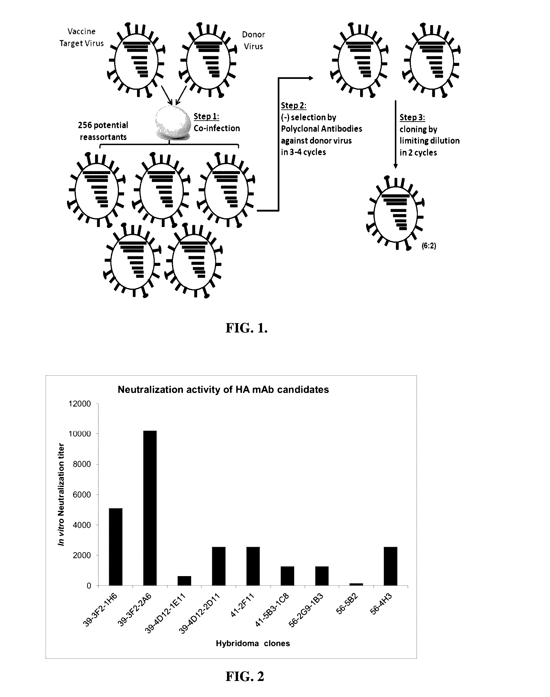 Hybrid influenza seed viruses, compositions thereof, and use thereof in the diagnosis or therapy of influenza