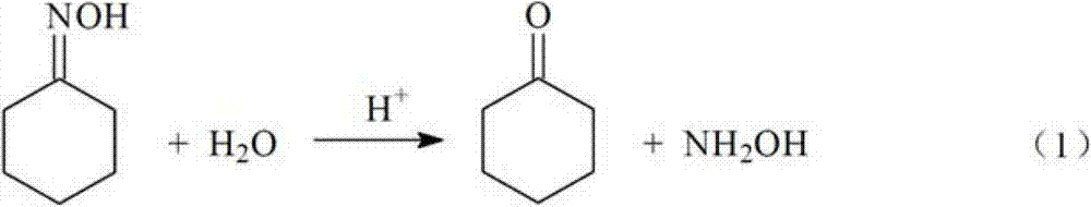 A kind of method that catalyzes cyclohexanone oxime hydrolysis reaction in acidic ionic liquid