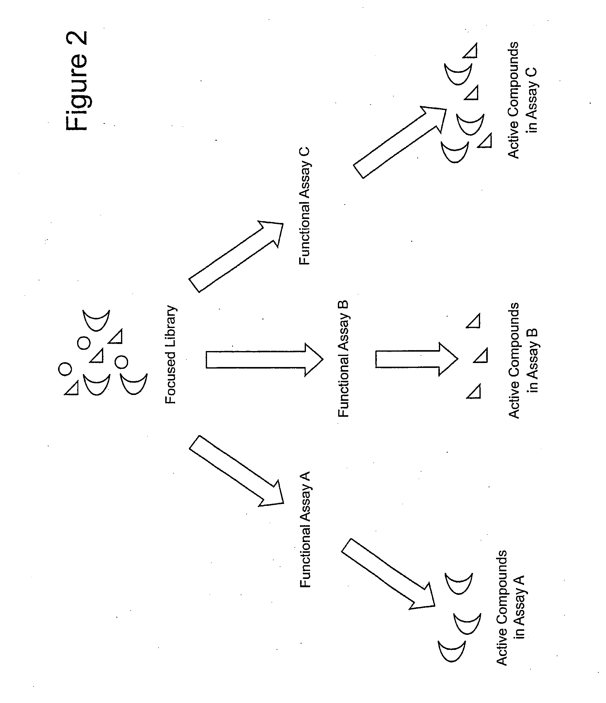 Focused Libraries, Functional Profiling, Laser Selex, and Deselex