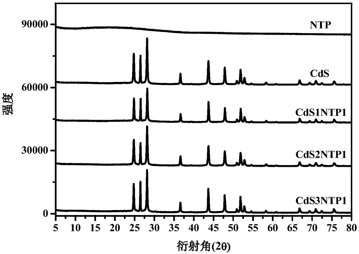 Preparation method of rod-shaped cadmium sulfide CdS NRs/triptycene polymer NTP novel composite photocatalyst