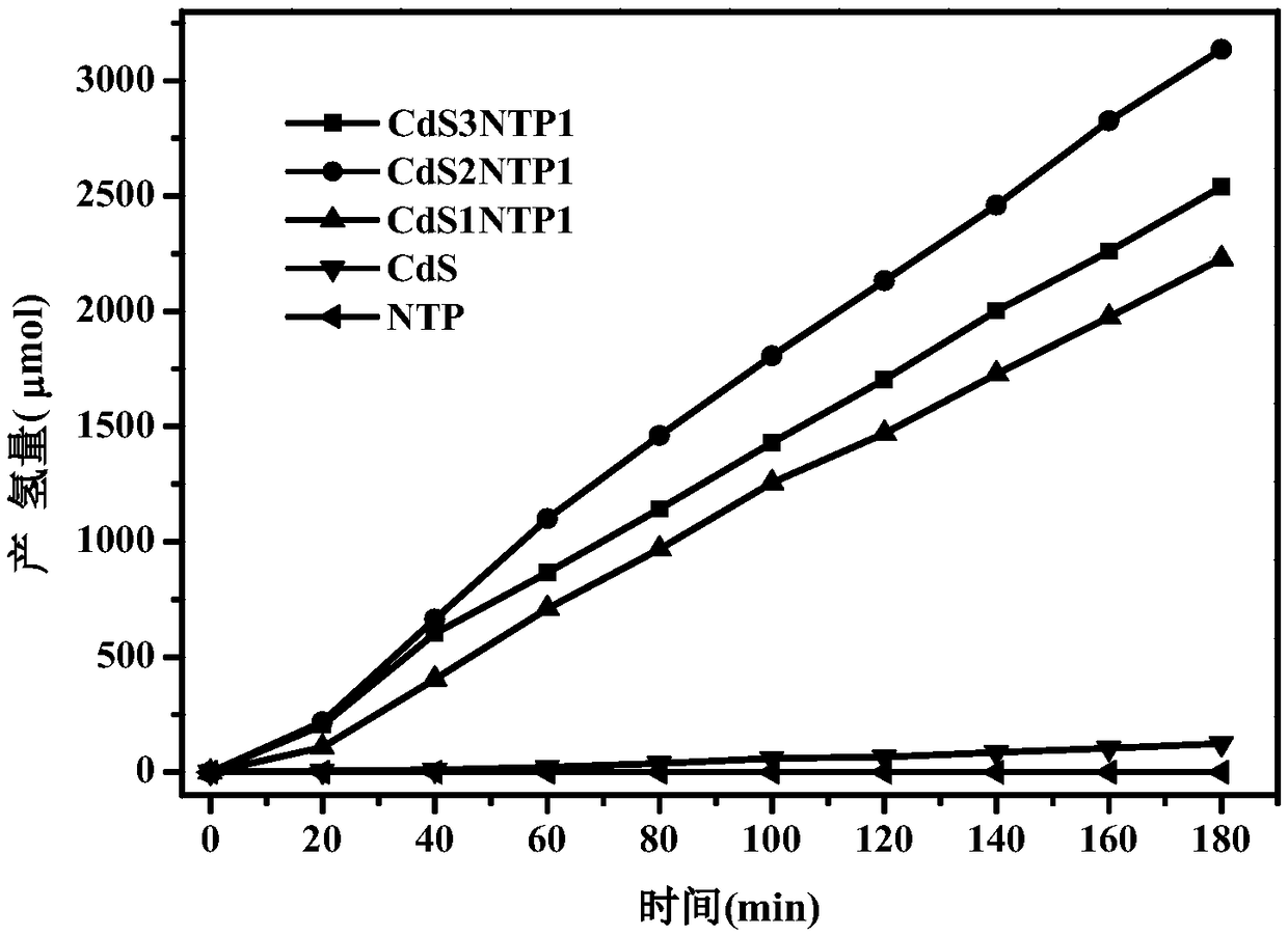 Preparation method of rod-shaped cadmium sulfide CdS NRs/triptycene polymer NTP novel composite photocatalyst