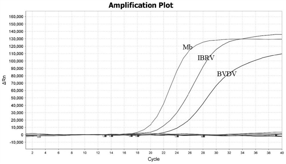 Primer probe combination and kit for detecting bovine respiratory diseases and application of primer probe combination and kit