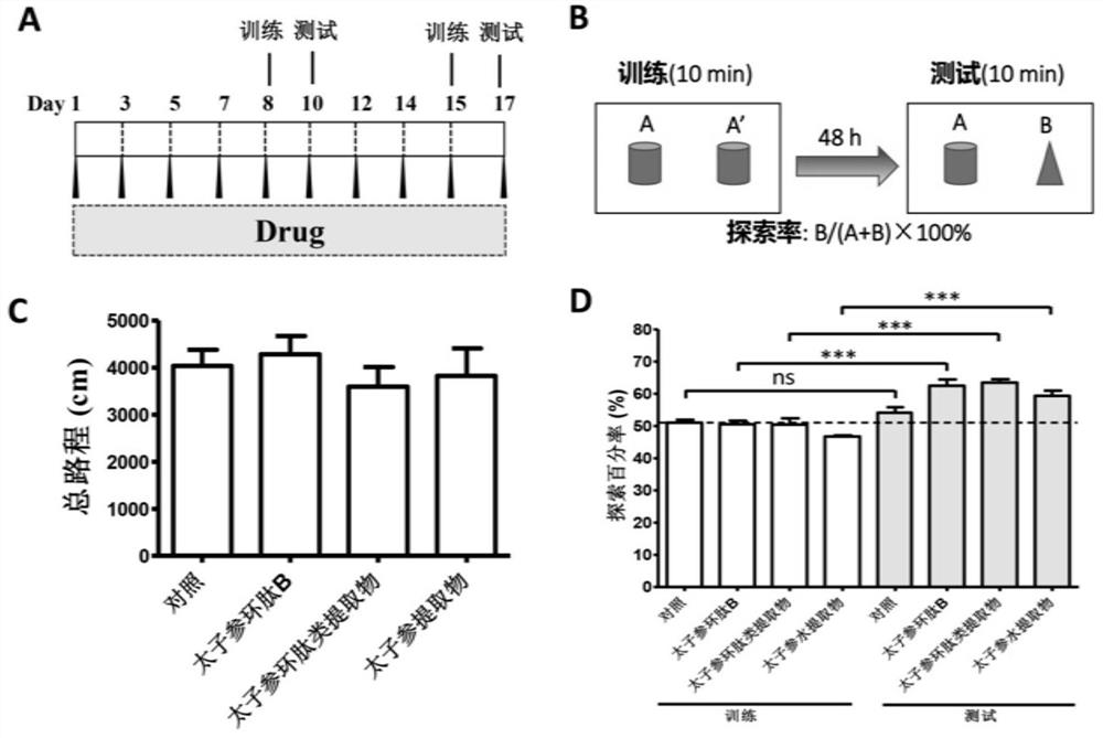 Application of heterophyllin b in improving memory and/or preventing and treating senile dementia