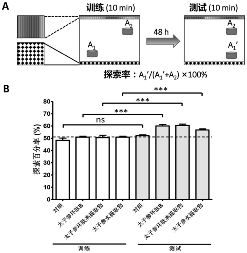 Application of heterophyllin b in improving memory and/or preventing and treating senile dementia