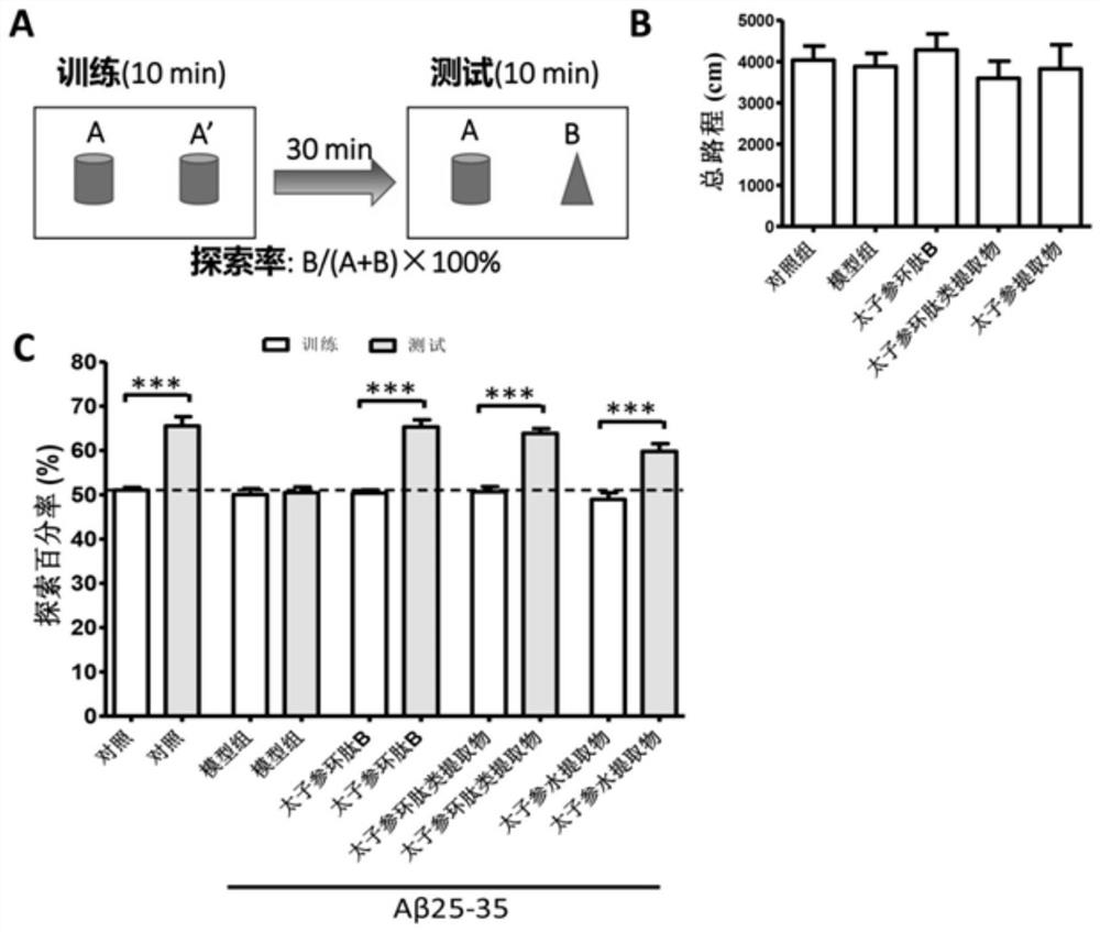 Application of heterophyllin b in improving memory and/or preventing and treating senile dementia