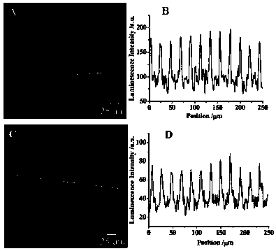 Applications of nanometer needle electrode in ultrahigh density electrochemical sensing analysis